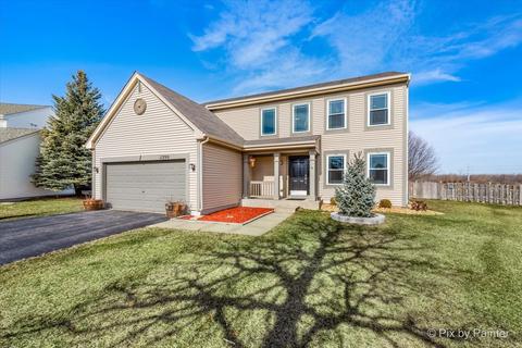 11290 Devon Ct, Huntley, IL 60142 photo 1