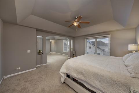 27116 Ashgate Xing, Plainfield, IL 60585 photo 30