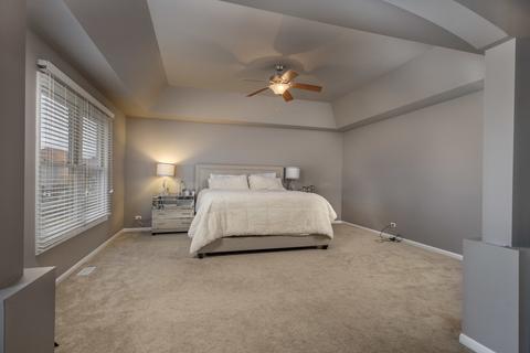 27116 Ashgate Xing, Plainfield, IL 60585 photo 28