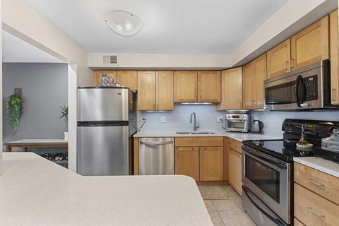 960 S River Rd #403, Des Plaines, IL 60016 photo 10