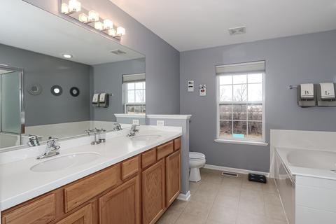 376 Toccoa Ln, Volo, IL 60073 photo 23