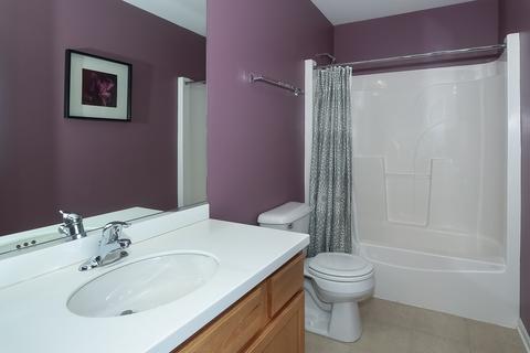 376 Toccoa Ln, Volo, IL 60073 photo 26