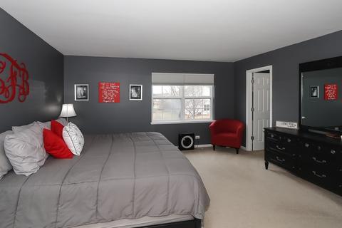 376 Toccoa Ln, Volo, IL 60073 photo 20