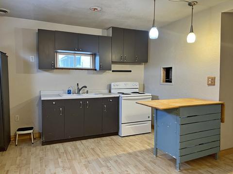 101 Main, Leaf River, IL 61047 photo 3