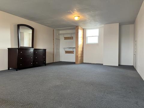 101 Main, Leaf River, IL 61047 photo 10