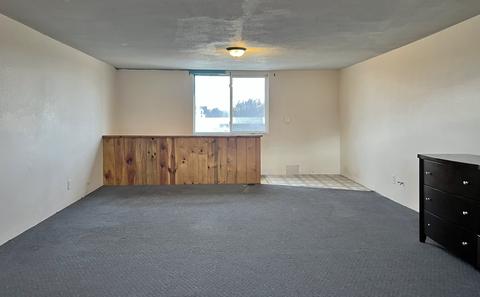 101 Main, Leaf River, IL 61047 photo 11