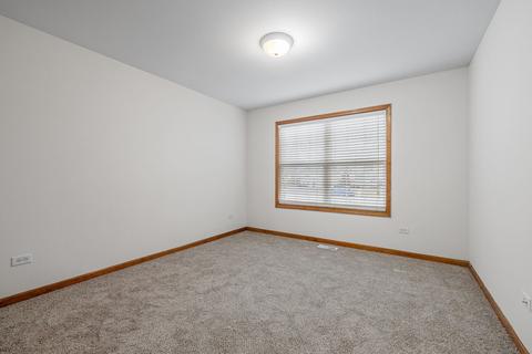 13316 Blackstone Ln, Plainfield, IL 60585 photo 14