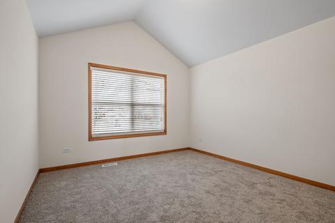 13316 Blackstone Ln, Plainfield, IL 60585 photo 15