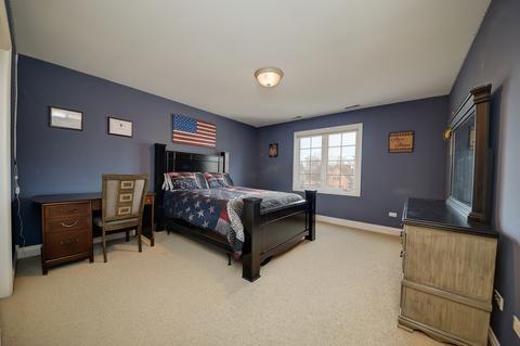 517 65th St, Willowbrook, IL 60527 photo 32