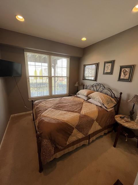 1938 Sundrop Ct, Bartlett, IL 60103 photo 30