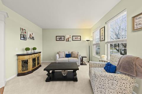 24231 W Bristol Ave, Plainfield, IL 60585 photo 4