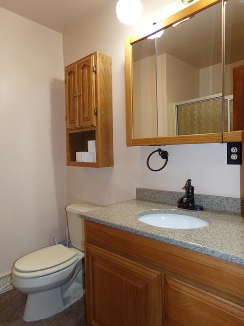 507 S Union St, Dwight, IL 60420 photo 15