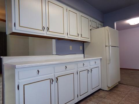 507 S Union St, Dwight, IL 60420 photo 3