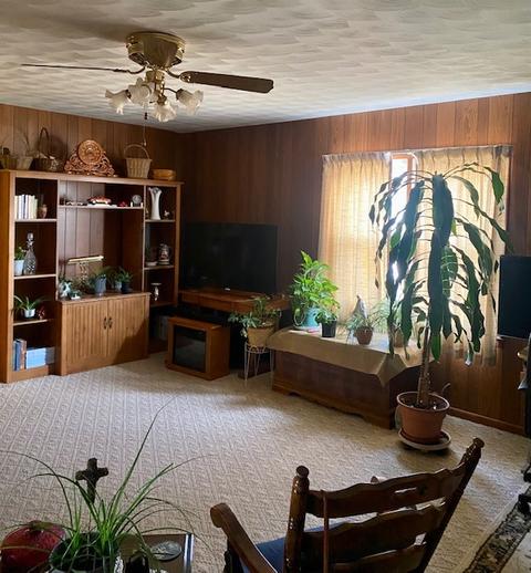 421 E Bluff St, Amboy, IL 61310 photo 9