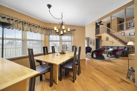 21335 Silktree Cir, Plainfield, IL 60544 photo 9
