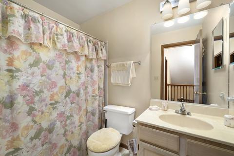 21335 Silktree Cir, Plainfield, IL 60544 photo 21