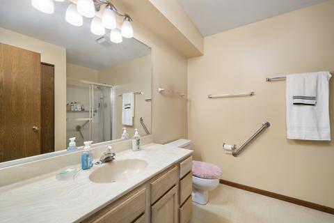 21335 Silktree Cir, Plainfield, IL 60544 photo 18