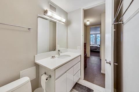200 E Delaware Pl #33D, Chicago, IL 60611 photo 25