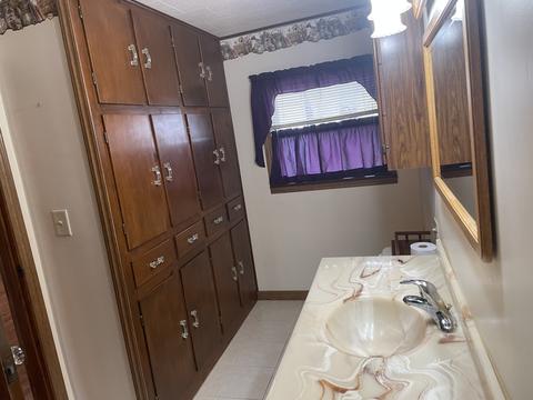 205 N 3rd St, Danforth, IL 60930 photo 9