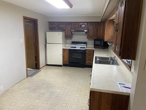 205 N 3rd St, Danforth, IL 60930 photo 5