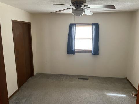 205 N 3rd St, Danforth, IL 60930 photo 8