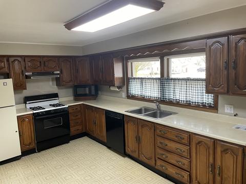 205 N 3rd St, Danforth, IL 60930 photo 4