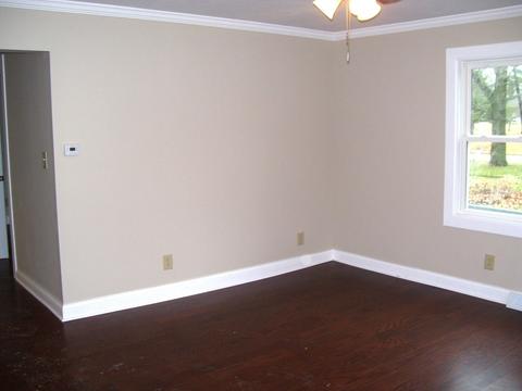 203 E Pollard Ave, Dwight, IL 60420 photo 3