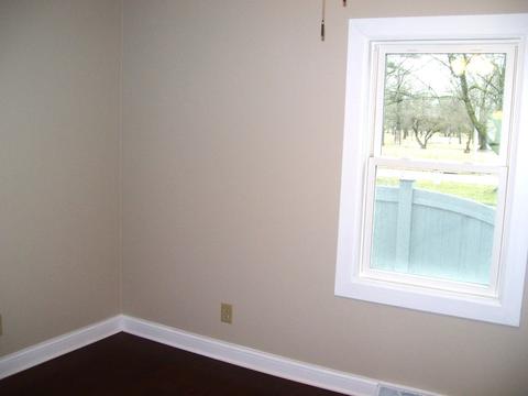 203 E Pollard Ave, Dwight, IL 60420 photo 12
