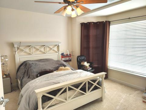 920 Case St, Naperville, IL 60563 photo 9