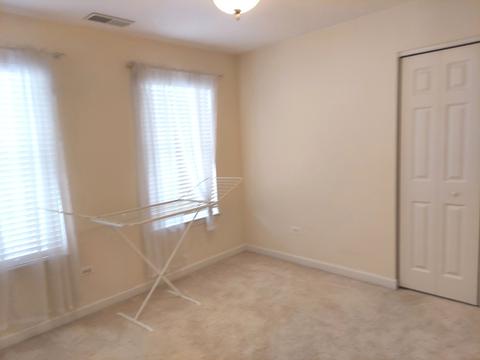 920 Case St, Naperville, IL 60563 photo 11