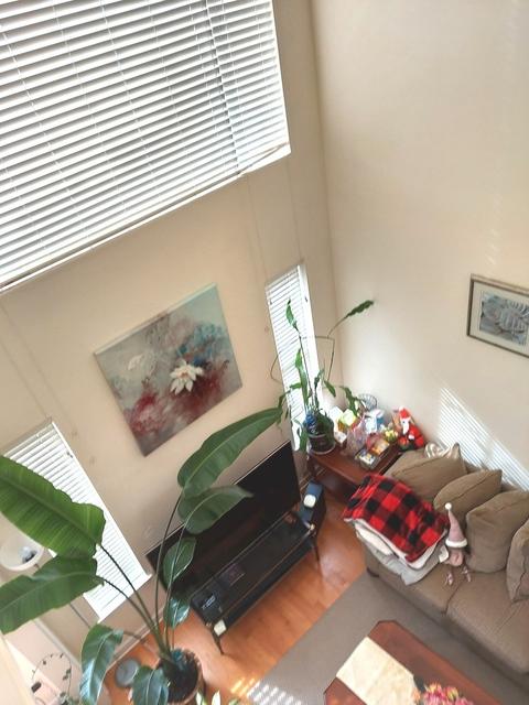 920 Case St, Naperville, IL 60563 photo 5