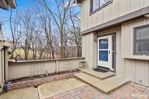 1171 Florimond Dr, Elgin, IL 60123 photo 25