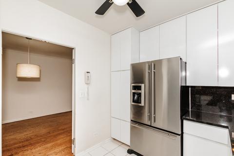 100 E Bellevue Pl #17C, Chicago, IL 60611 photo 15