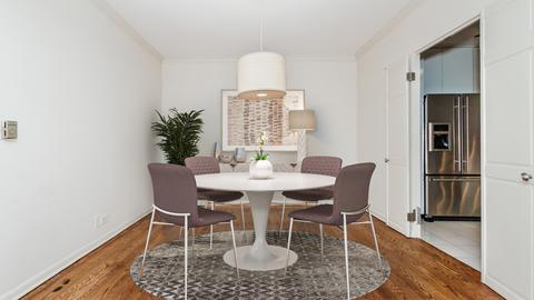 100 E Bellevue Pl #17C, Chicago, IL 60611 photo 13