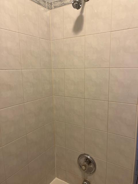 303 E 50th St #A, Chicago, IL 60615 photo 9