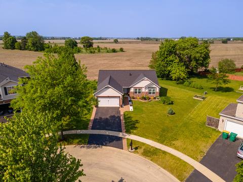 6909 Sahara Ct, Plainfield, IL 60586 photo 29