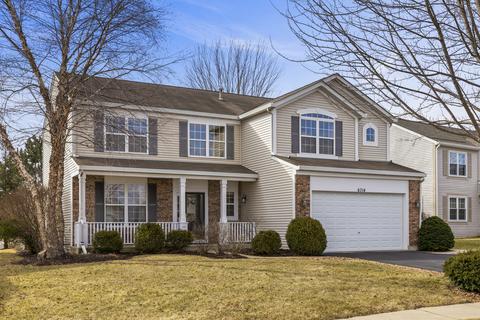 6714 Bazz Dr, Plainfield, IL 60586 photo 44