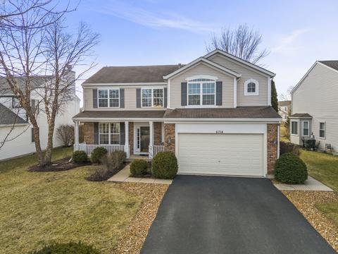 6714 Bazz Dr, Plainfield, IL 60586 photo 45