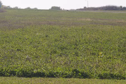 lot5 S Rt 52 Rd, Manhattan, IL 60442