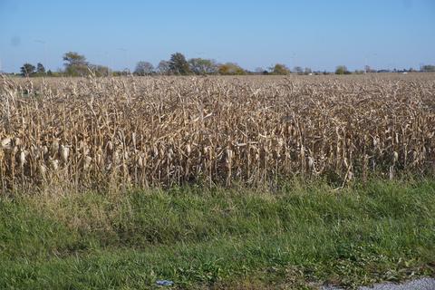 Sec7 Twp26n R10e Road, Gilman, IL 60938