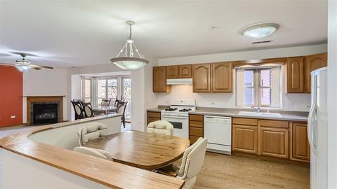 27 E Hattendorf Ave #217, Roselle, IL 60172 photo 7