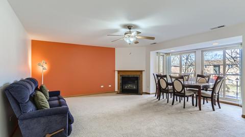 27 E Hattendorf Ave #217, Roselle, IL 60172 photo 4