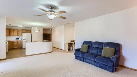 27 E Hattendorf Ave #217, Roselle, IL 60172 photo 5