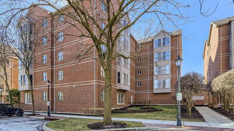27 E Hattendorf Ave #217, Roselle, IL 60172 photo 1