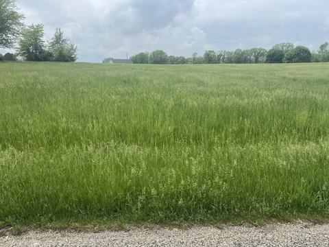 476 Earl Miller Dr, Varna, IL 61375