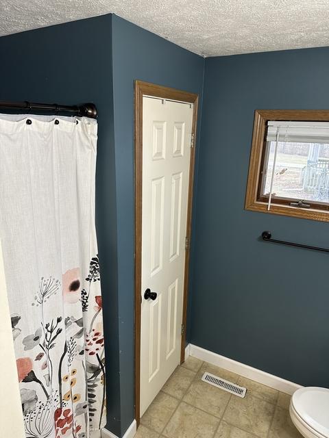 308 E Harrison St, Saybrook, IL 61770 photo 21