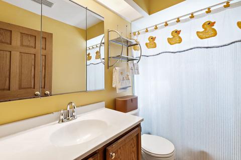2236 Mecan Dr, Naperville, IL 60564 photo 13