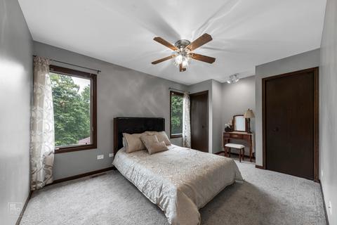 16512 Winding Creek Rd, Plainfield, IL 60586 photo 16