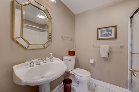 13423 Lakeshore Dr, Plainfield, IL 60585 photo 53