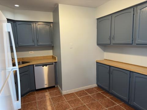 207 Gregory St #17, Aurora, IL 60504 photo 12